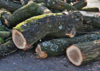 sprokkelhout