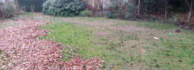 Bladblazen met de windrichting mee