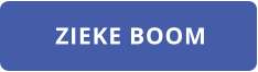 ZIEKE BOOM