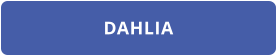 DAHLIA