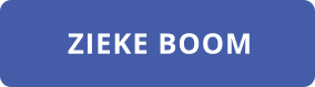 ZIEKE BOOM