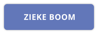 ZIEKE BOOM