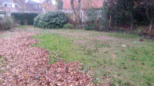 Bladblazen met de windrichting mee