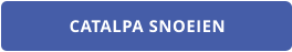 CATALPA SNOEIEN