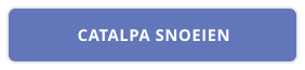 CATALPA SNOEIEN