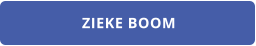 ZIEKE BOOM