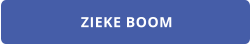 ZIEKE BOOM