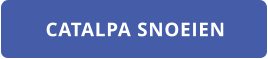 CATALPA SNOEIEN