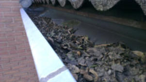 Dakgoot vol met blad