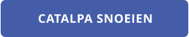 CATALPA SNOEIEN