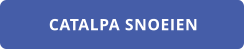 CATALPA SNOEIEN