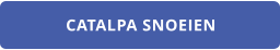 CATALPA SNOEIEN