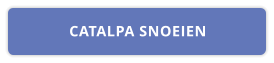 CATALPA SNOEIEN