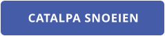 CATALPA SNOEIEN