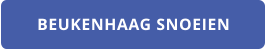 BEUKENHAAG SNOEIEN