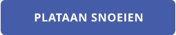 PLATAAN SNOEIEN