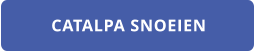 CATALPA SNOEIEN