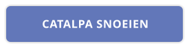 CATALPA SNOEIEN