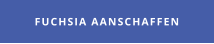 Aanschaf taxus