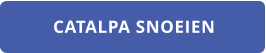 CATALPA SNOEIEN