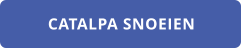 CATALPA SNOEIEN