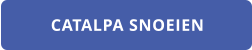 CATALPA SNOEIEN
