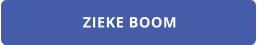 ZIEKE BOOM