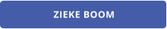 ZIEKE BOOM