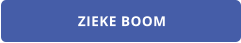 ZIEKE BOOM