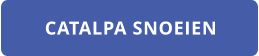 CATALPA SNOEIEN