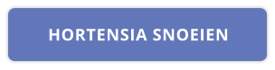HORTENSIA SNOEIEN