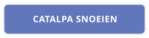 CATALPA SNOEIEN