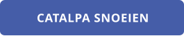 CATALPA SNOEIEN