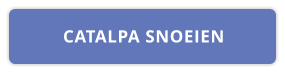 CATALPA SNOEIEN