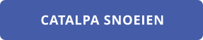 CATALPA SNOEIEN