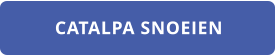 CATALPA SNOEIEN