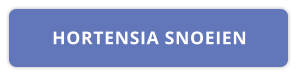 HORTENSIA SNOEIEN