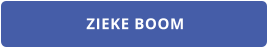 ZIEKE BOOM