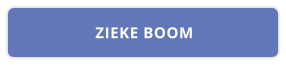 ZIEKE BOOM