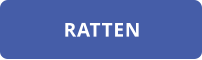 RATTEN