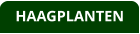 HAAGPLANTEN