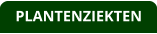 PLANTENZIEKTEN