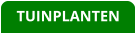 TUINPLANTEN