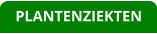 PLANTENZIEKTEN