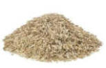 Graszaad