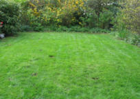 Het wordt steeds mooier en groener!