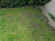 Slecht stuk in gazon