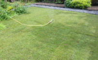 Afwalsen en flink sproeien